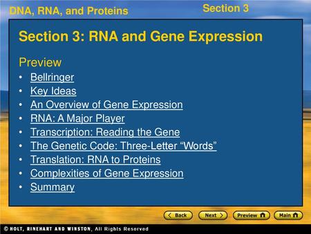 Section 3: RNA and Gene Expression