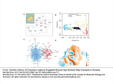 Fig. 1. Genetic affinity and population structure of Xinjiang’s Uyghur (XJU). (A) Distribution map of XJU samples. The abbreviated name of each region.