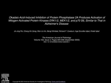 Okadaic-Acid-Induced Inhibition of Protein Phosphatase 2A Produces Activation of Mitogen-Activated Protein Kinases ERK1/2, MEK1/2, and p70 S6, Similar.