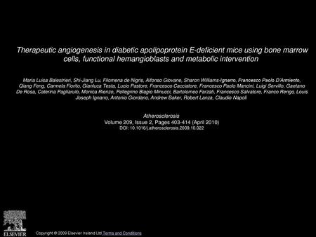 Therapeutic angiogenesis in diabetic apolipoprotein E-deficient mice using bone marrow cells, functional hemangioblasts and metabolic intervention  Maria.