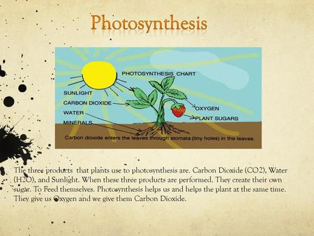 Photosynthesis The three products that plants use to photosynthesis are. Carbon Dioxide (CO2), Water (H2O), and Sunlight. When these three products are.