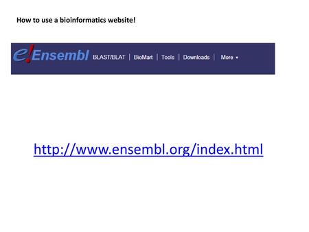 How to use a bioinformatics website!