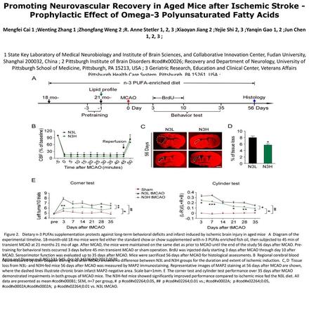 Promoting Neurovascular Recovery in Aged Mice after Ischemic Stroke - Prophylactic Effect of Omega-3 Polyunsaturated Fatty Acids Mengfei Cai 1 ;Wenting.