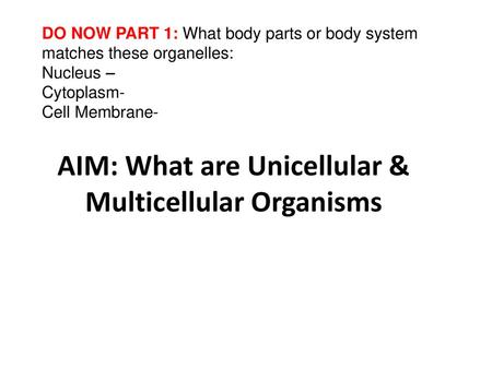 AIM: What are Unicellular & Multicellular Organisms