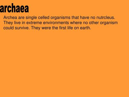 Archaea Archea are single celled organisms that have no nutrcleus. They live in extreme environments where no other organism could survive. They were the.