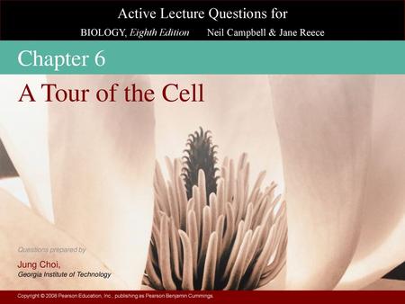 A Tour of the Cell Chapter 6