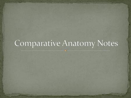 Comparative Anatomy Notes