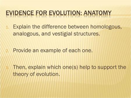 Evidence for Evolution: Anatomy