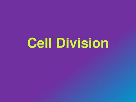 Cell Division.