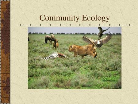 Community Ecology.