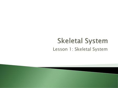 Lesson 1: Skeletal System