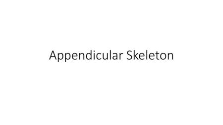 Appendicular Skeleton