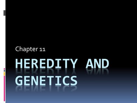 Chapter 11 Heredity and genetics.