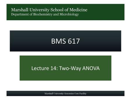 Lecture 14: Two-Way ANOVA