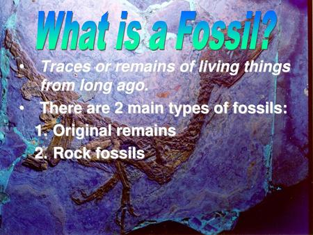 What is a Fossil? Traces or remains of living things from long ago.