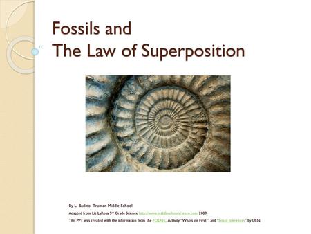 Fossils and The Law of Superposition