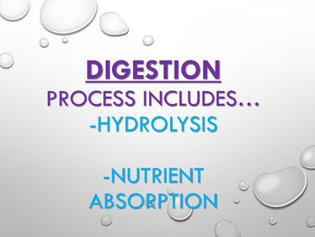 DIGESTION process includes… -HYDROLYSIS -NUTRIENT ABSORPTION