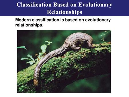 Classification Based on Evolutionary Relationships