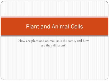 How are plant and animal cells the same, and how are they different?