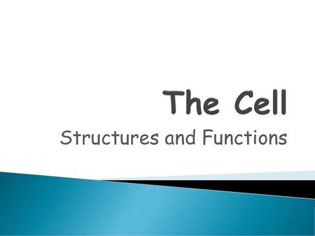 Structures and Functions