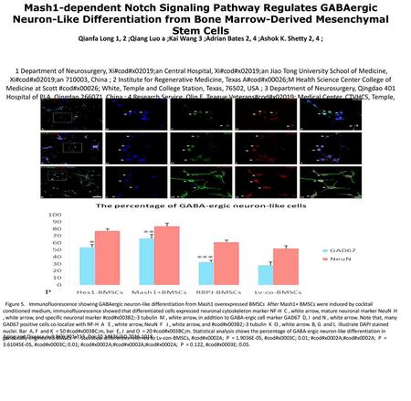 Mash1-dependent Notch Signaling Pathway Regulates GABAergic Neuron-Like Differentiation from Bone Marrow-Derived Mesenchymal Stem Cells Qianfa Long 1,