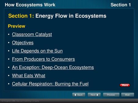 Section 1: Energy Flow in Ecosystems