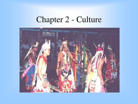 Chapter 2 - Culture.