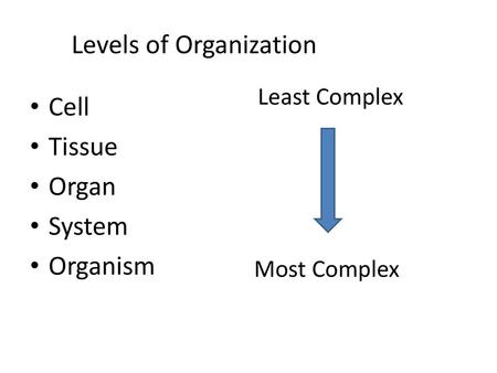 Levels of Organization