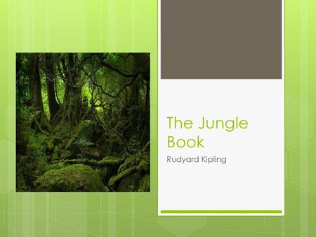 The Jungle Book Rudyard Kipling.