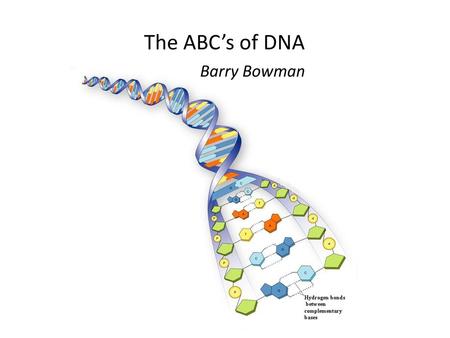 The ABC’s of DNA Barry Bowman.