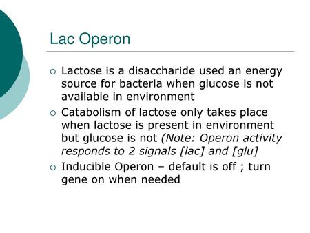 Lac Operon Lactose is a disaccharide used an energy source for bacteria when glucose is not available in environment Catabolism of lactose only takes place.