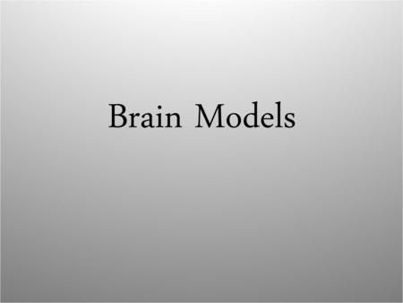 Brain Models.