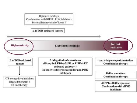 Combination with IGF1R, PI3K inhibitors