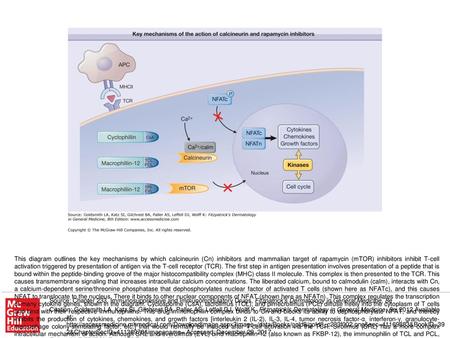 This diagram outlines the key mechanisms by which calcineurin (Cn) inhibitors and mammalian target of rapamycin (mTOR) inhibitors inhibit T-cell activation.