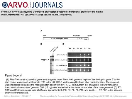 Invest. Ophthalmol. Vis. Sci ;44(2): doi: /iovs Figure Legend: