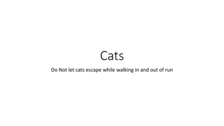 Do Not let cats escape while walking in and out of run