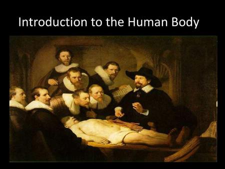 Introduction to the Human Body