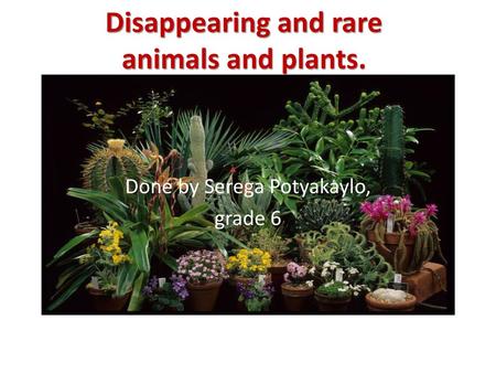 Disappearing and rare animals and plants.