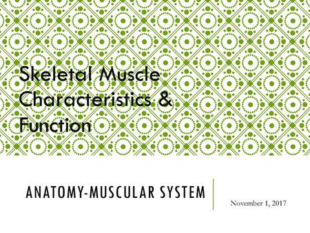 Anatomy-Muscular System