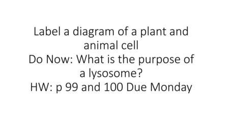 Label a diagram of a plant and animal cell Do Now: What is the purpose of a lysosome? HW: p 99 and 100 Due Monday.