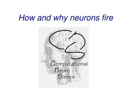 How and why neurons fire