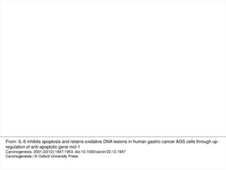 Fig. 4. Effect of Mcl-1 overexpression on H2O2-induced JNK activation and apoptosis. (A) Expression of Mcl-1 protein in several.