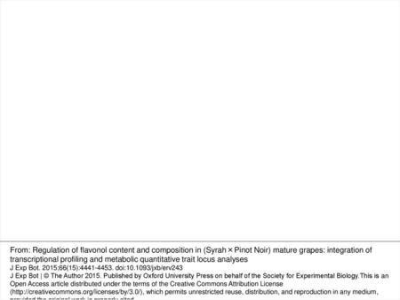 Fig. 3. Transcriptomic analysis of high- and low-flavonol producers (HFPs and LFPs) by Affymetrix GrapeGen Chip. Assignment of the probe sets exclusively.