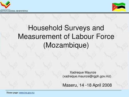 Household Surveys and Measurement of Labour Force