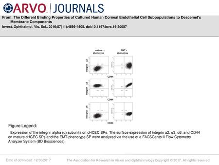 From: The Different Binding Properties of Cultured Human Corneal Endothelial Cell Subpopulations to Descemet's Membrane Components Invest. Ophthalmol.