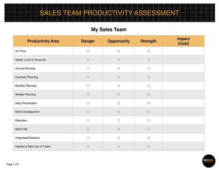 SALES TEAM PRODUCTIVITY ASSESSMENT