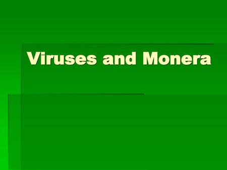 Viruses and Monera.