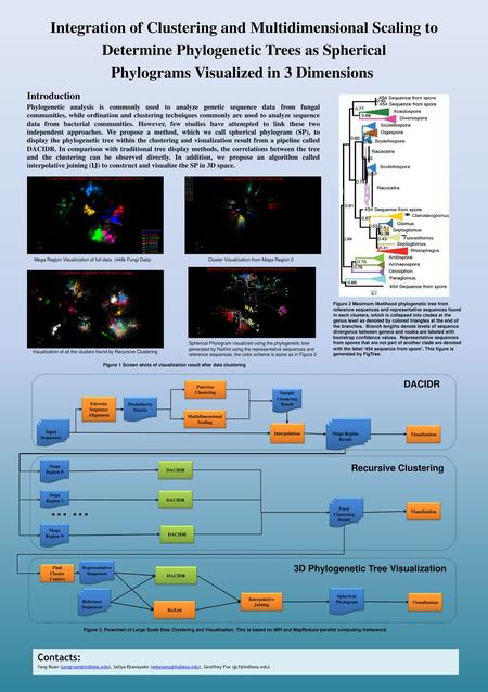 Integration of Clustering and Multidimensional Scaling to Determine Phylogenetic Trees as Spherical Phylograms Visualized in 3 Dimensions  Introduction.