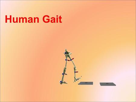 Human Gait.