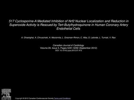 517 Cyclosporine-A Mediated Inhibition of Nrf2 Nuclear Localization and Reduction in Superoxide Activity is Rescued by Tert-Butylhydroquinone in Human.